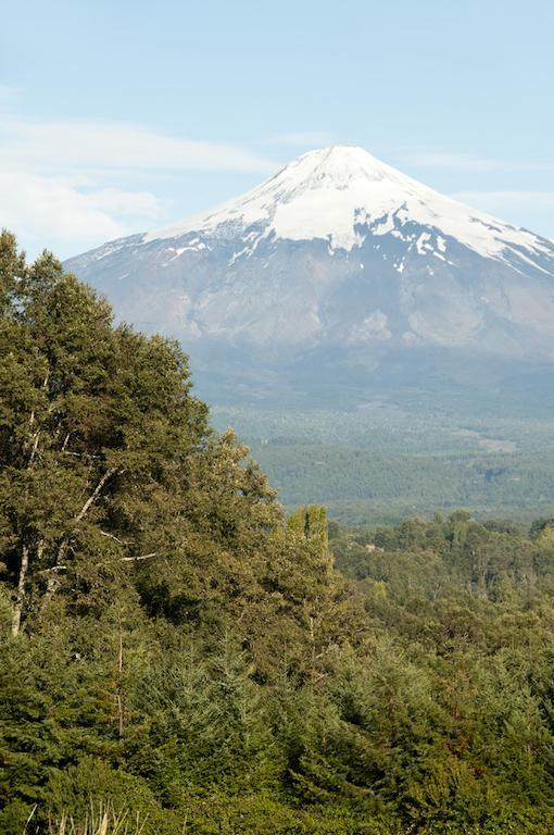 Cabanas Patagonia Lefun Пукон Экстерьер фото